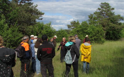 Landschaft im Gespräch: Unterwegs bei Hecke, Feld & Flur