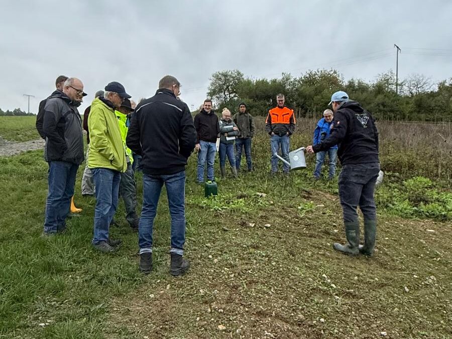 Aktuelles aus der Schwammregion – Schwammtische, Bus-Exkursion und Rückblick auf gemeinsamen Flurspaziergang